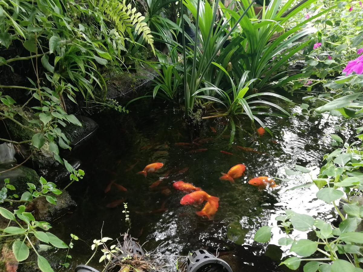 Chian House *